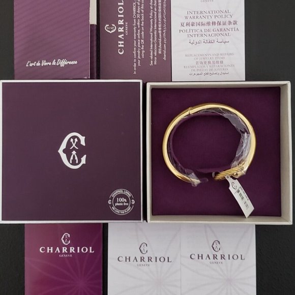 $200 MSRP| Charriol 04-404-1232-0CM Infinity Zen Steel Bangle Yellow Gold PVD(M) - Picture 4 of 6